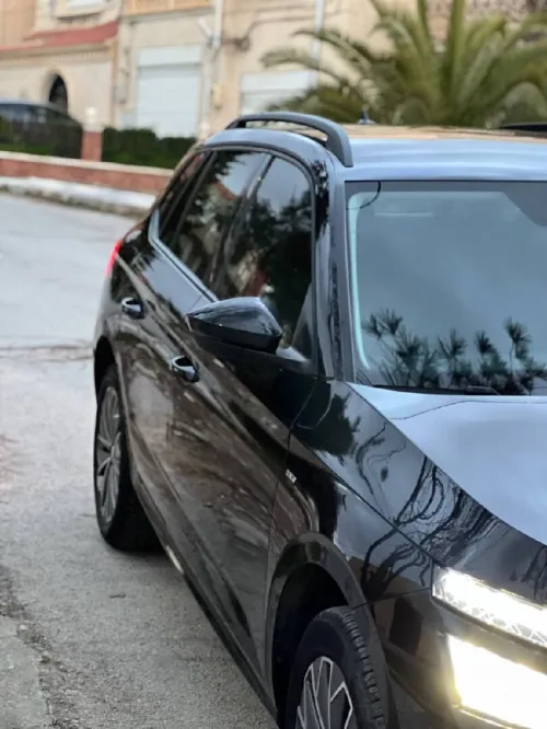 Skoda Kamiq 2021 Clever