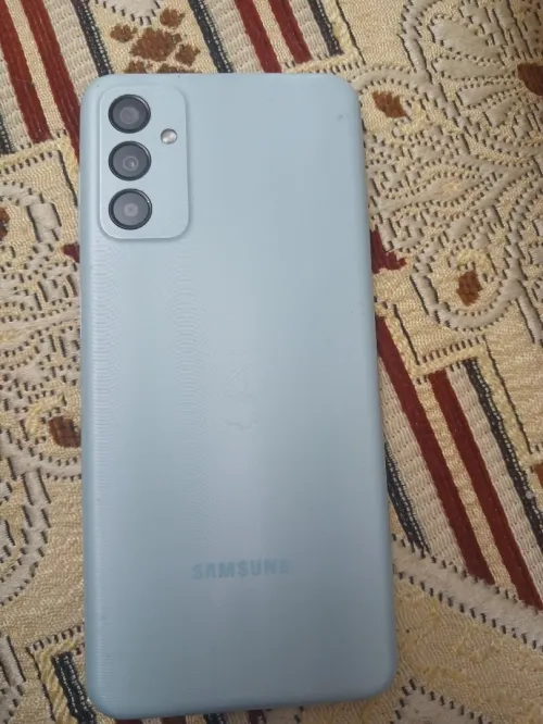 Samsung F13