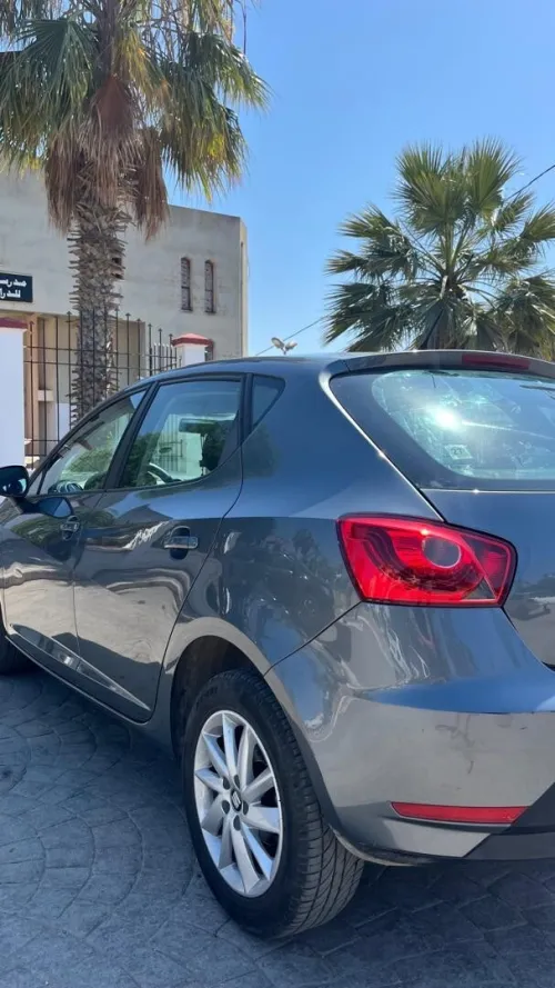 Seat Ibiza 2017 Sol