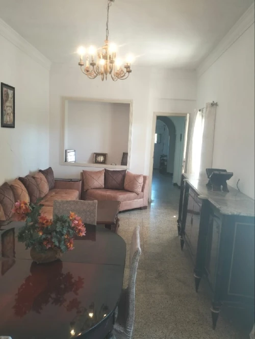 Vente Terrain Aïn Defla Miliana