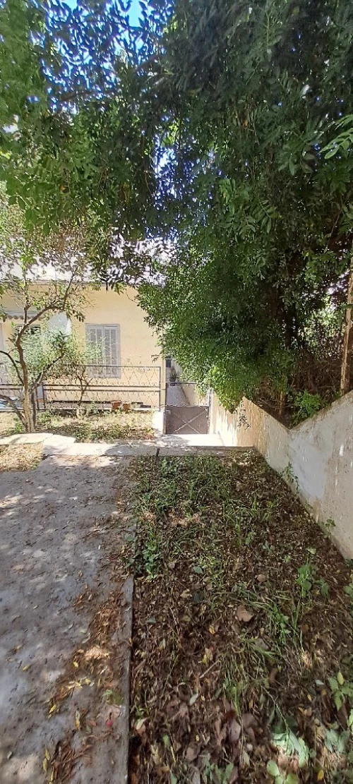Vente Villa Alger El biar