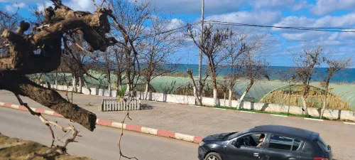 Vente Terrain Tipaza Bou haroun