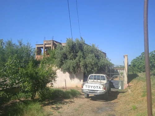 Vente Terrain Blida Bougara