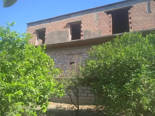 Vente Terrain Blida Bougara