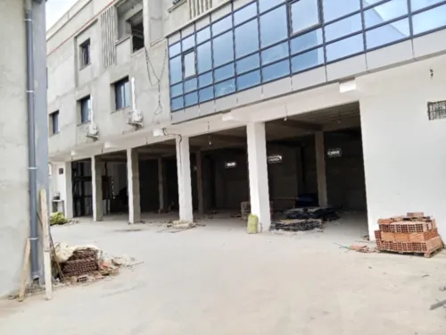 Location Hangar Blida Meftah