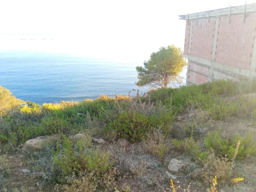 Vente Terrain Chlef Oued goussine