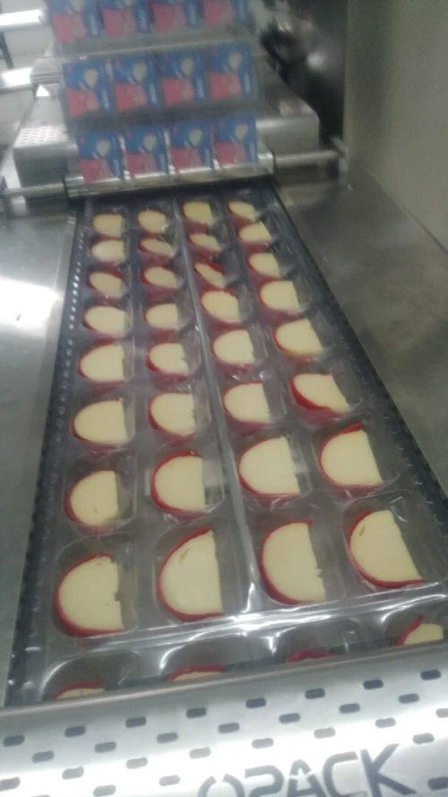 Thermoformeuse sous vide
