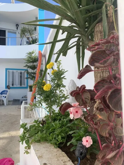 Location vacances Appartement Studio Chlef Oued goussine