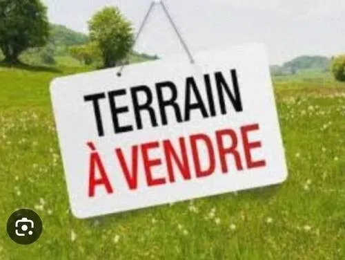 Vente Terrain Tipaza Kolea