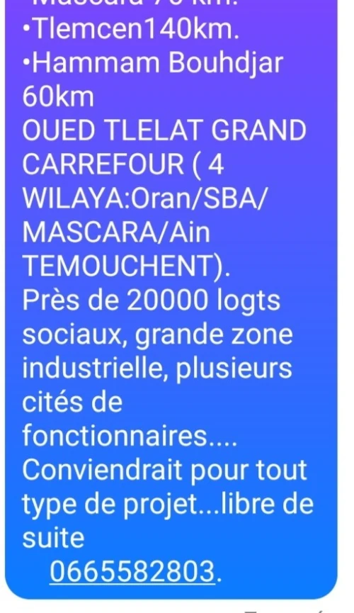 Vente Oran Oued tlelat