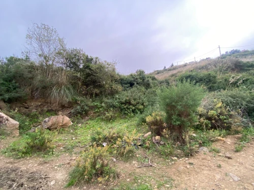 Vente Terrain Tizi Ouzou Azeffoun