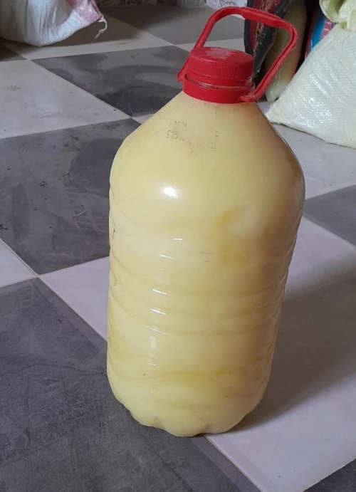 البيض