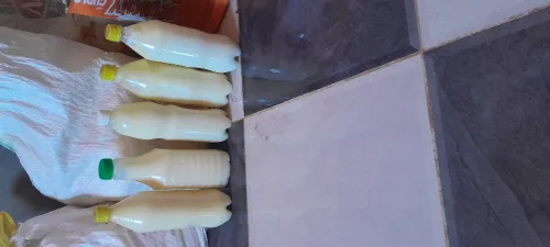 دهان الماعز الحر