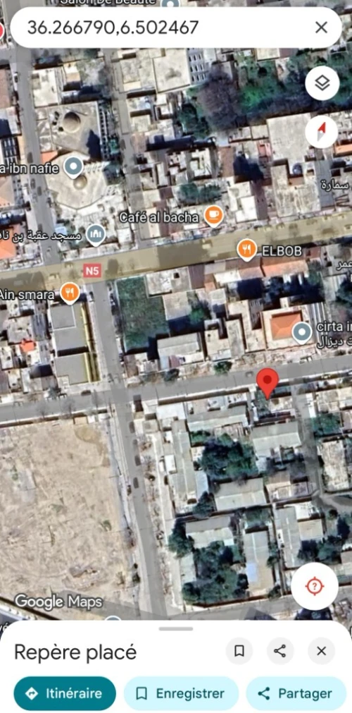 Vente Terrain Constantine Ain smara