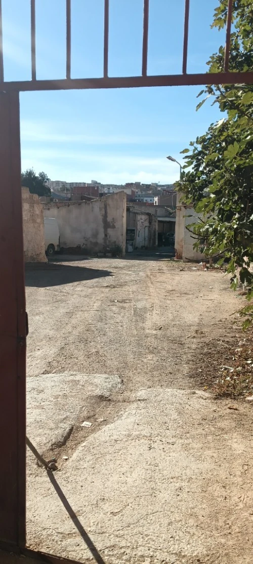 Vente Terrain Tlemcen Ghazaouet