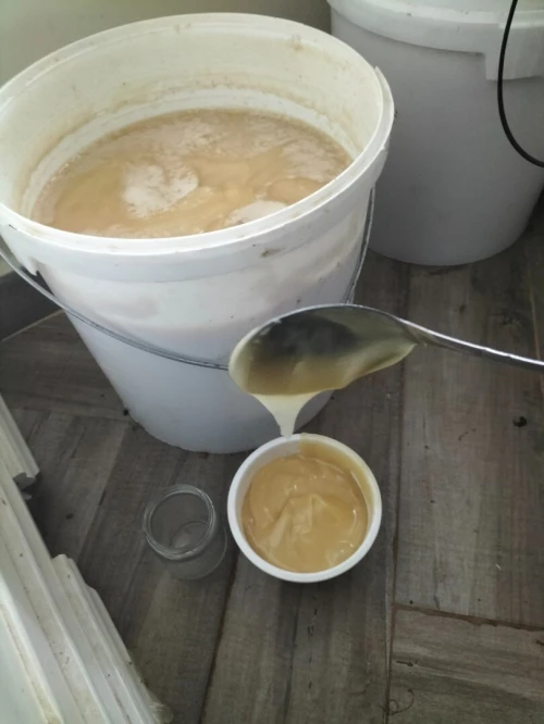 عسل السدر الملكي