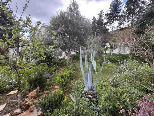 Location Villa Alger Birkhadem