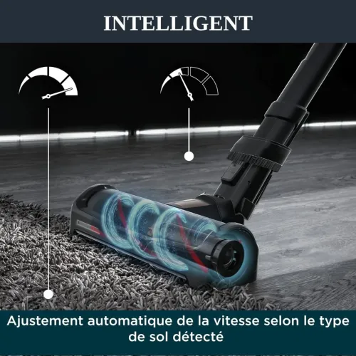 Aspirateur rowenta Xforce 15.60