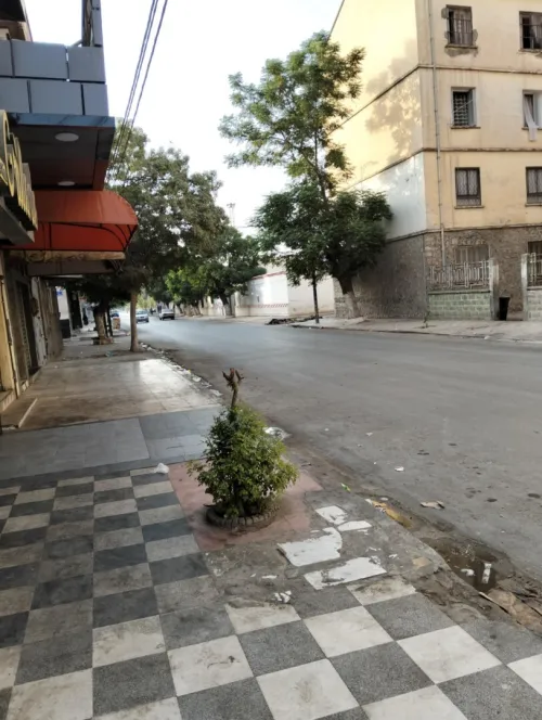 Vente Local Sidi Bel Abbès Sidi bel abbes