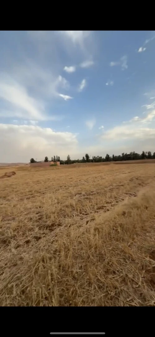 Vente Terrain Agricole Aïn Témouchent Hassasna