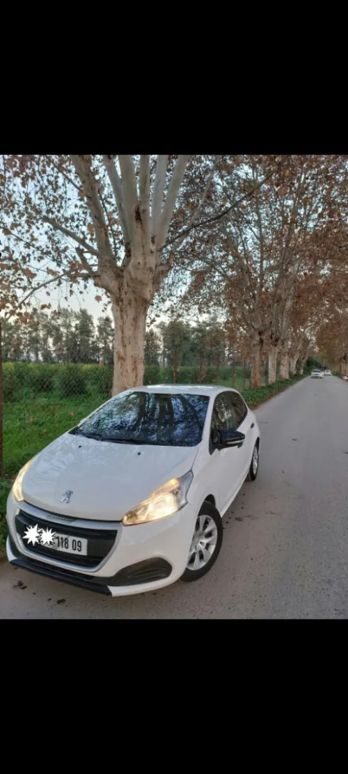 Peugeot 208 2018 Active