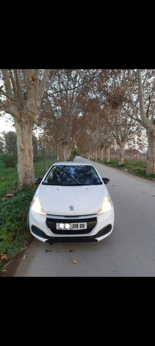 Peugeot 208 2018 Active