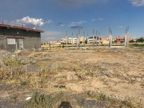 Vente Terrain Sétif Guelal