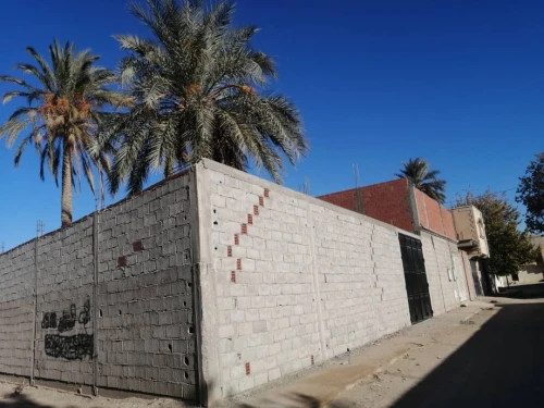 Vente Terrain Laghouat Laghouat