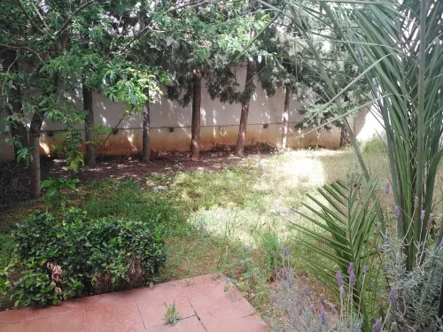 Location Villa Alger Dely brahim