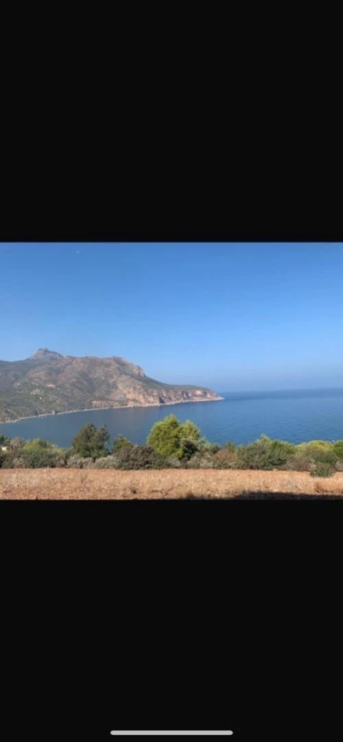 Vente Terrain Chlef Chlef