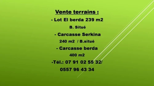 Vente Terrain Constantine Constantine
