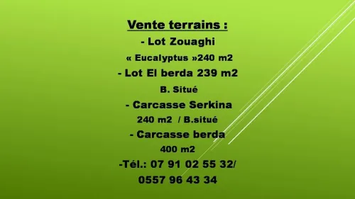 Vente Terrain Constantine Constantine