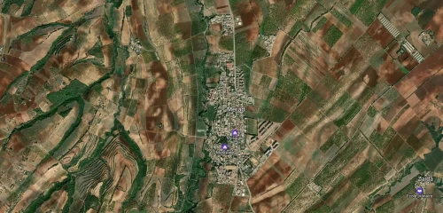 Vente Terrain Tipaza Hadjout