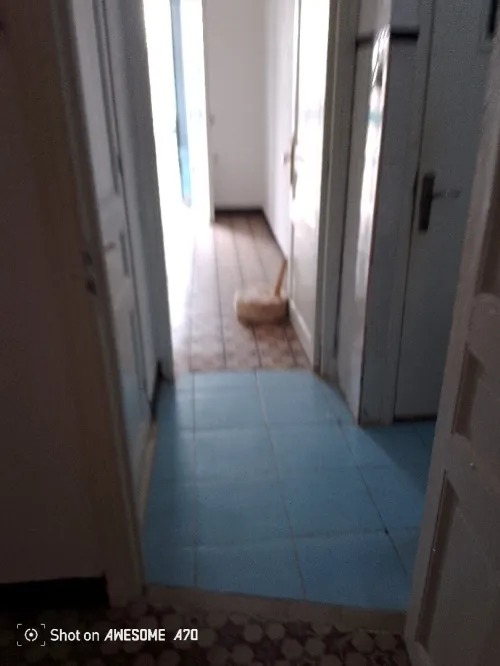Vente Appartement F3 Alger Sidi mhamed