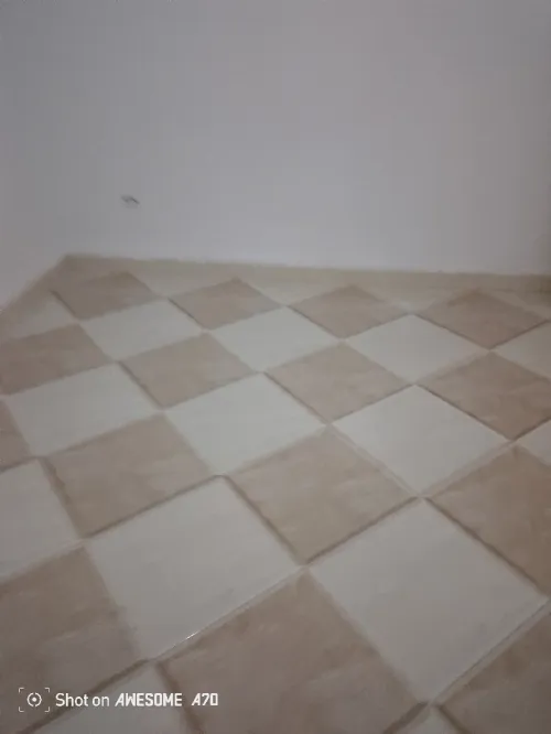 Location Appartement F2 Alger Alger centre