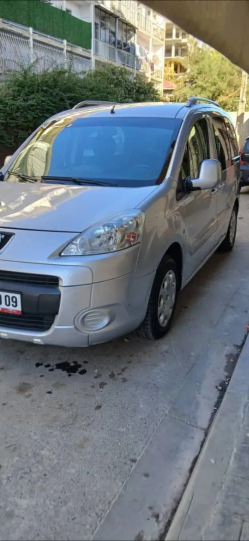 Peugeot Partner 2010 Tepee