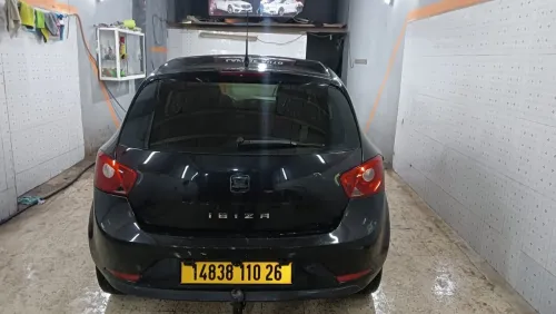 Seat Ibiza 2010 Loca