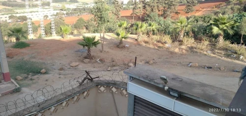 Vente Villa Tipaza Douaouda