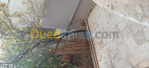 Vente Villa Alger El achour