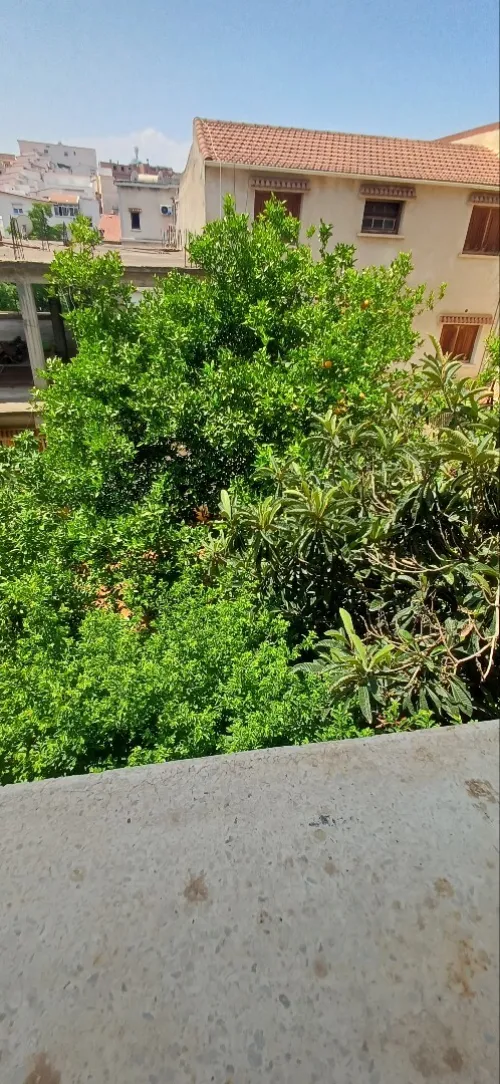 Location Appartement Niveau de villa F3 Alger Said hamdine