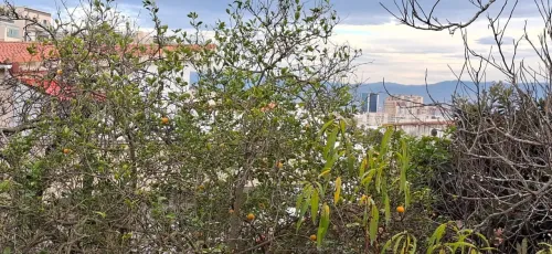 Vente Villa Alger Hydra