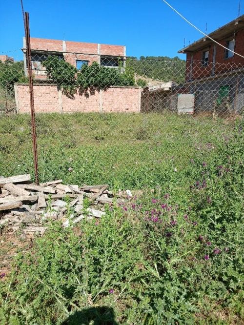 Vente Terrain Tipaza Cherchell