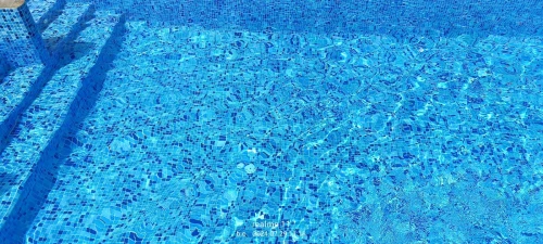  pisciniste 