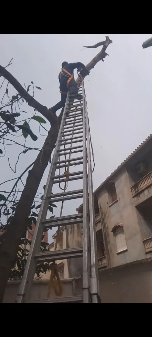  Aménagement Des Espaces Verts, desherbage elagage