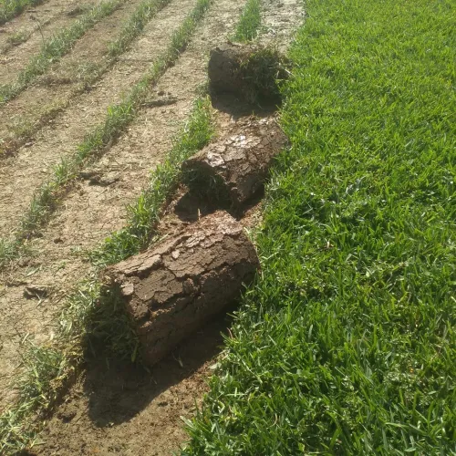  Aménagement Des Espaces Verts, desherbage elagage