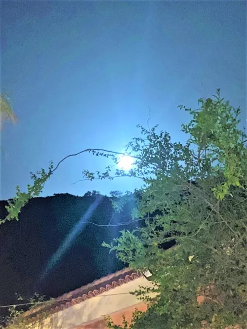 Location vacances Villa Béjaïa Beni ksila
