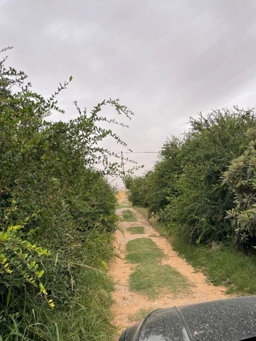 Vente Terrain Agricole M'Sila Bou saada