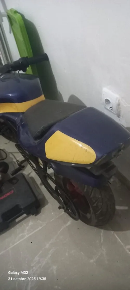 Mini moto Sport 2014