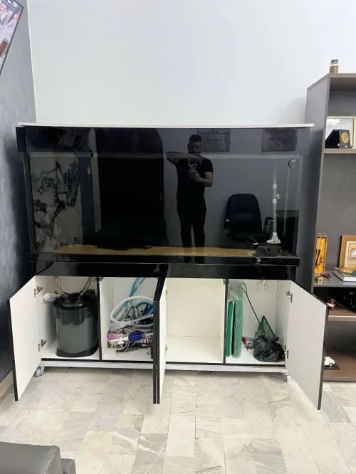 Grand Aquarium a poisson 
