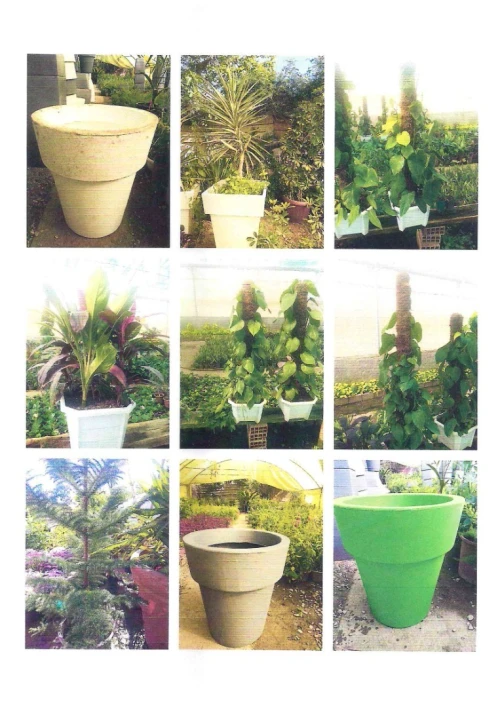 entreprise de création des jardin et entretiens des espace vert  